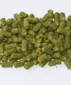 Hmeljni peleti STYRIAN GOLDING - 100 g