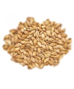 BEST MALZ MELANOIDIN - SLAD - 5 KG
