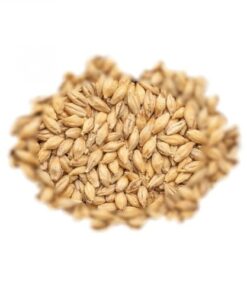 SLAD BEST MALZ PILSEN - 5 kg