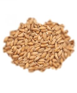 BEST MALZ SPELT - SLAD - 5 KG