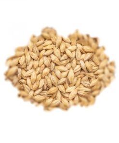 ITALMALT PILSNER - SLAD - 5 KG
