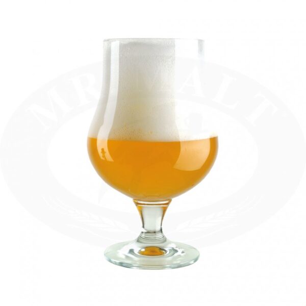 BREWFERM STRONG BLOND - slika 3